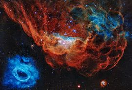 Cosmic Reef by Space and Earth