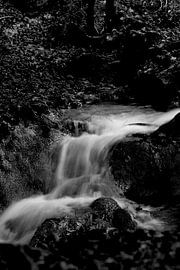 Die Kraft des Wassers (2) von Isabell Müller