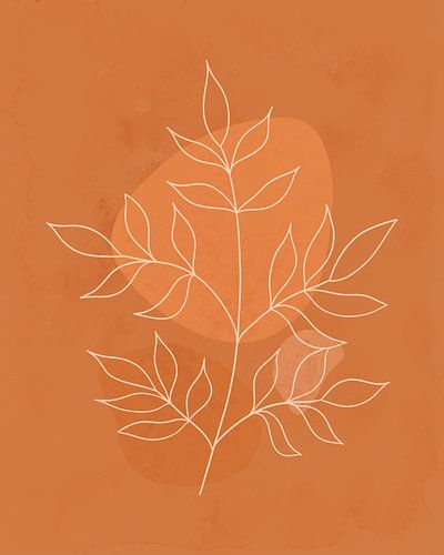 Takje bij zonsondergang