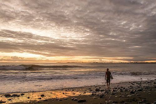 Surfing in Hawaii