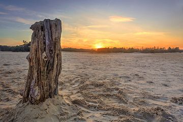 Loonse en Drunense duinen