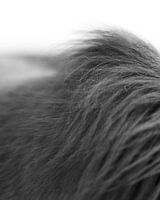 Kreativität braucht Mut