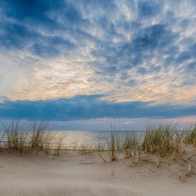 Panorama from the Dune by Alex Hiemstra