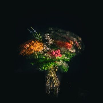 still life in motion