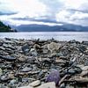 Sognefjord in Noorwegen van Eric van Nieuwland