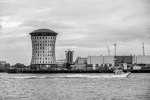 Bolder in Rotterdam.