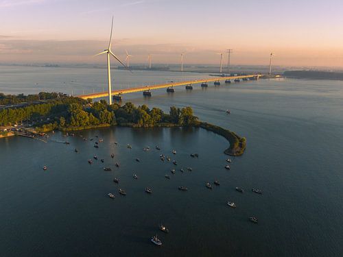 Haringvliet: Vissersboten op het Water tijdens Viswedstrijd