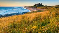 Bamburgh Castle, Northumberland, England by Henk Meijer Photography thumbnail