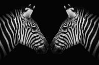 Zebra-Zwillinge in Schwarz und Weiß von Marjolein van Middelkoop Miniaturansicht