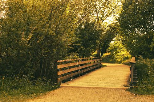 Holzbrücke im Waldweg