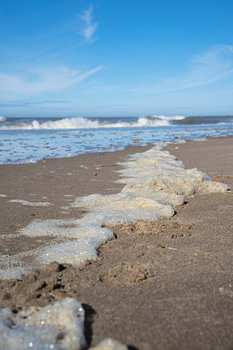 Foam Line on the Coast