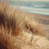 Dunes, ammophile et plage dans la lumière du soir sur Vlindertuin-Art