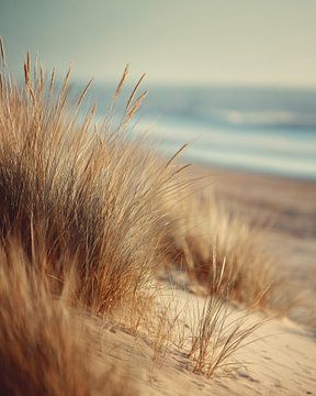 Duinen, helmgras en strand in het avondlicht van Vlindertuin-Art