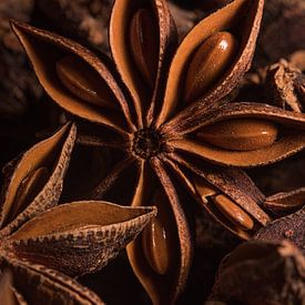 Star anise between star anise (in the kitchen)