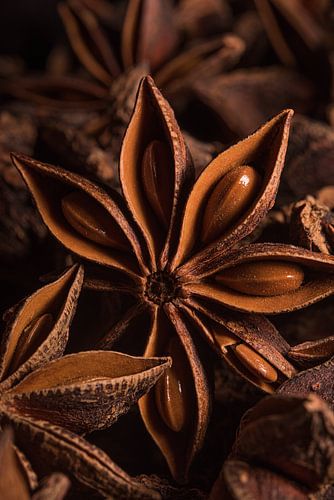 Star anise between star anise (in the kitchen)