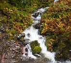 Waterval in Glencoe, Schotland van Johan Zwarthoed thumbnail