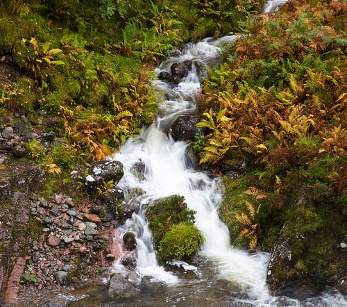Wasserfall in Glencoe, Schottland von Johan Zwarthoed