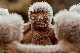 ripe to the touch by Jacqueline Van Osenbruggen