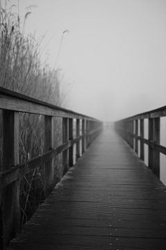 Bünde in Nebel VIII | Steinmeisterpark van Momentaufnahme | Marius Ahlers