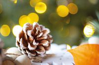 Weihnachten und Winter