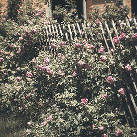 old countrygarden by Fotostudio Huonker