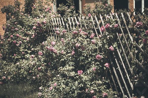 Ancien jardin de ferme