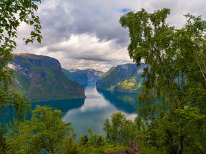 Blick auf den Aurlandsfjord, Vestland, Norwegen