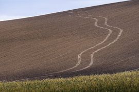 Traktorspuren in den mährischen Hügeln von Anges van der Logt