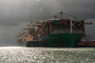 Containerschepen op de Maasvlakte Rotterdam van scheepskijkerhavenfotografie