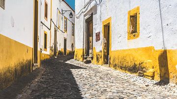 Évora, Portugal van rosstek ®