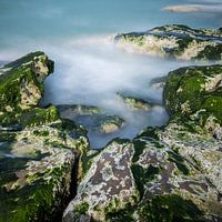 Morning mist