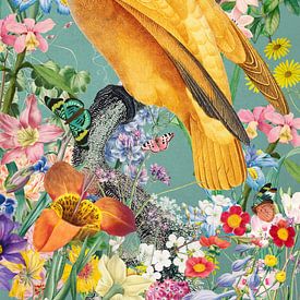 There's a Parrot in the Garden by Marja van den Hurk