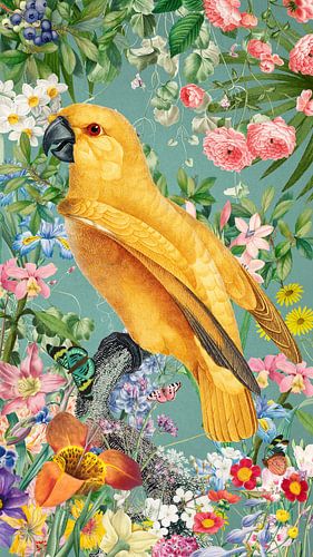 There's a Parrot in the Garden sur Marja van den Hurk