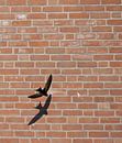 Gierzwaluw vliegend voor een huis in Katwijk aan zee van Beschermingswerk voor aan uw muur thumbnail