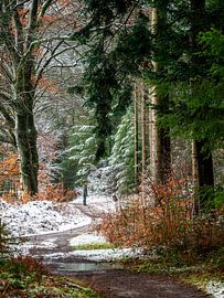 Winterwanderung