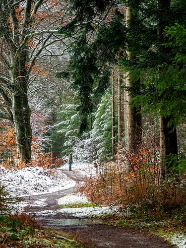 winter wandeling