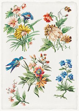 Blumenmuster mit einem blauen Vogel, Giacomo Cavenezia