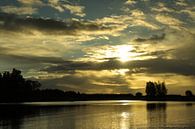 Zonsopkomst in de Biesbosch van Antwan Janssen thumbnail