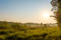 Zonsopgang boven de Laambeek bron van Johan Vanbockryck thumbnail