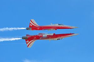 Mirrorflight