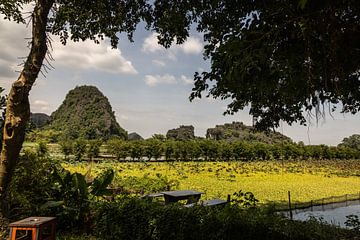 Ninh Binh, Vietnam sur Patrick Fotografeert