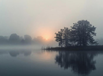 Réveil au bord du lac – Ambiance brumeuse au lever du soleil