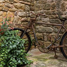 Altes Fahrrad in Val d'Oingt, Frankreich von Daan Kloeg