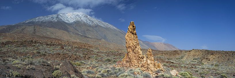 Pico del Teide en Roques de Garcia van Walter G. Allgöwer