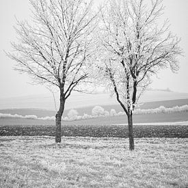 Winters Oogst 2 van Keith Wilson Photography