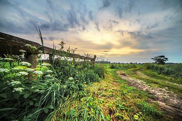 Rural Landscape Nietap Drenthe Netherlands by R Smallenbroek