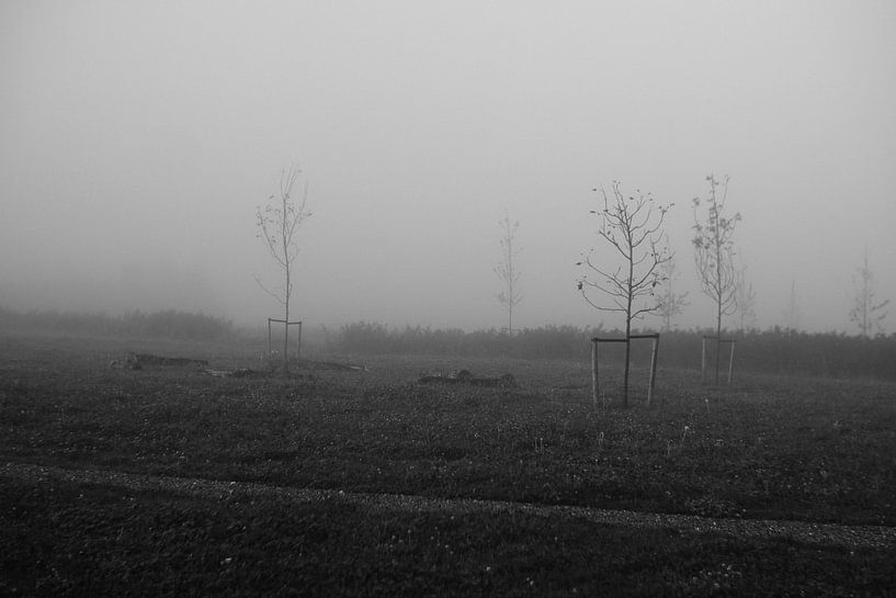 Speelbos net aangeplant von Jeroen de Lang