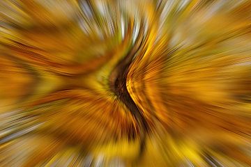 bewegte Bäume, ICM-Stil von Steffi Hommel