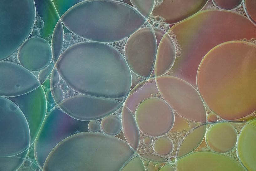 Dubbele bellen van Karin Tebes