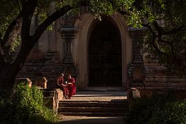 Lesen im Tempelgarten von Anges van der Logt